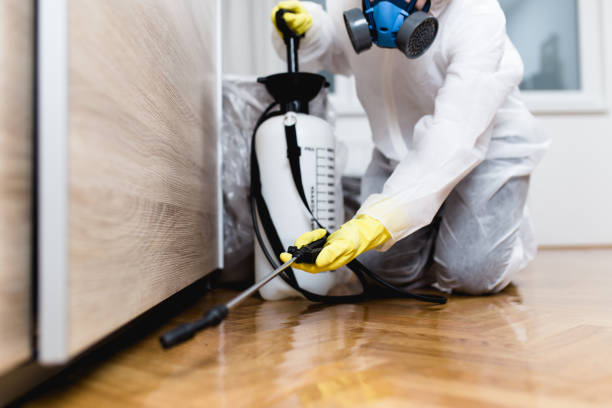 Best Pest Control for Restaurants  in Wellston, MO