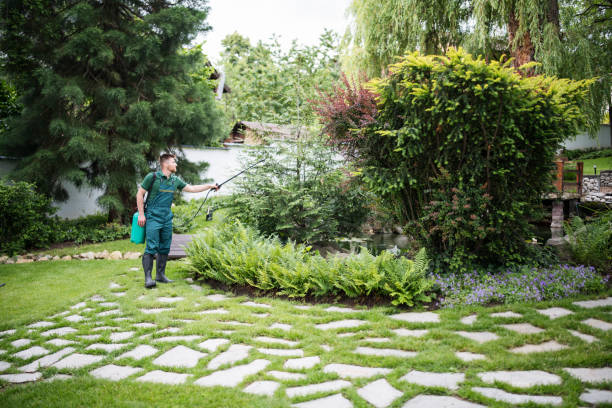 Best Best Pest Control Companies  in Wellston, MO