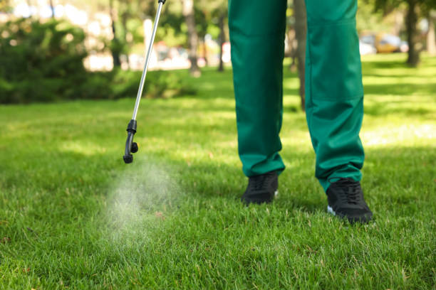 Best Pest Prevention Services  in Wellston, MO