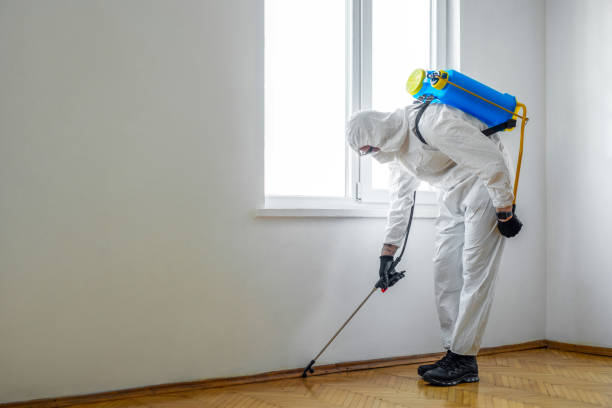 Best Commercial Pest Control Services  in Wellston, MO