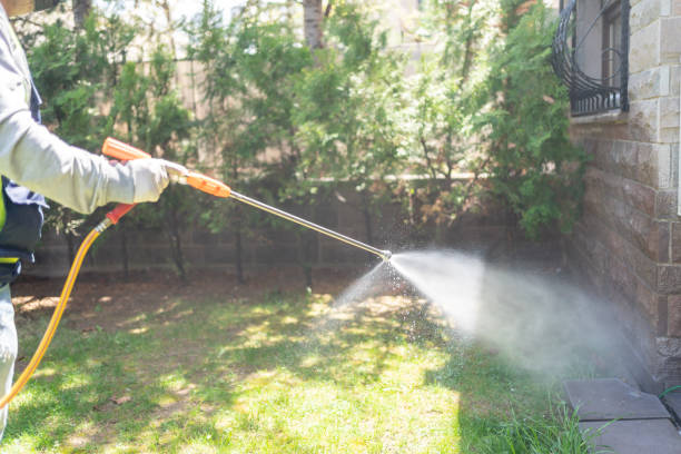 Best Emergency Pest Control  in Wellston, MO