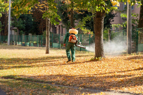 Pest Prevention Services in Wellston, MO