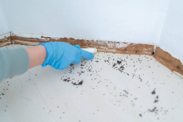 Best Wildlife Control Services  in Wellston, MO