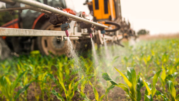 Best Ant Control Services  in Wellston, MO