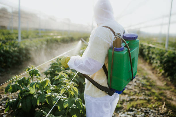 Best Flea Control Services  in Wellston, MO
